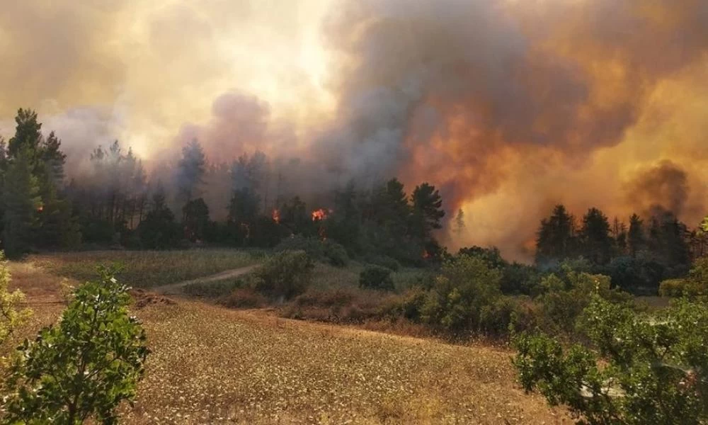 Φωτιά στην Γορτυνία: Νέα αναζωπύρωση ανάμεσα σε Λιβαδάκι και Καστράκι - Εκκενώνεται το Καλλιάνι